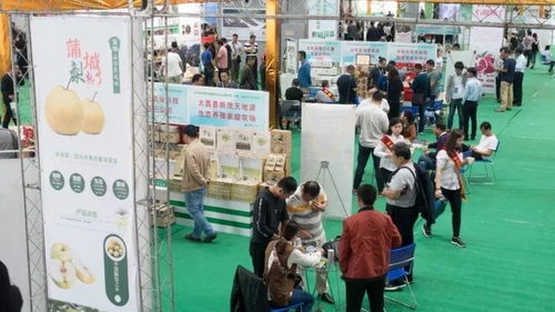 這一年，我們不一樣——禮儀服務的變革與堅守